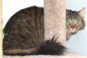 Picture of Simon (says)