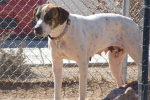 Picture of Thelma