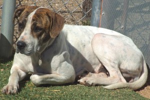 Picture of Thelma
