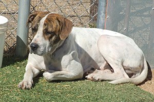 Picture of Thelma