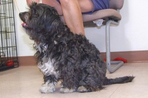 Picture of Turbo