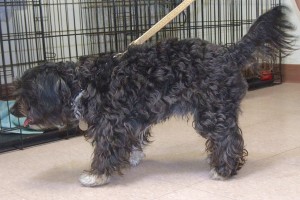 Picture of Turbo