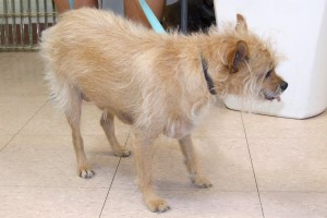 Picture of Zero