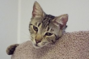 Picture of Ben