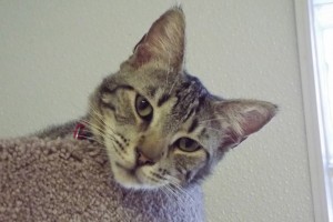Picture of Ben