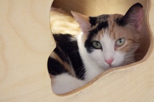 Picture of Carley