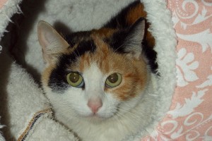 Picture of Carley