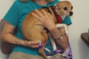Picture of Chiquita