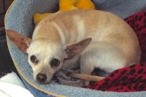Picture of Jenny