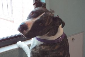 Picture of Lily Lu