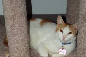 Picture of Riley