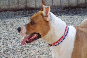 Picture of Candy Ann