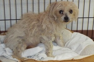 Picture of Edie