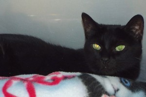 Picture of Maggie