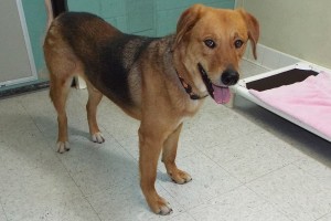 Picture of Max