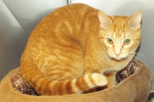 Picture of Meg