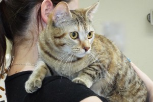 Picture of Zena