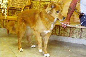 Picture of Coda