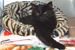 Picture of Delila