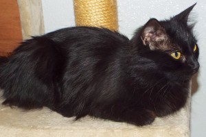 Picture of Delila