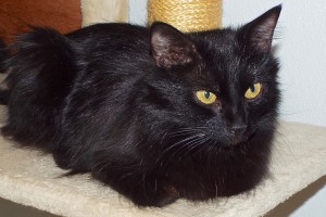 Picture of Delila