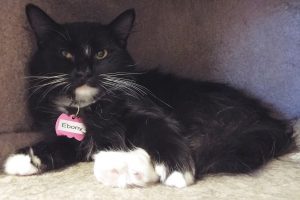 Picture of Chloe