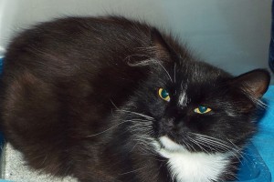 Picture of Chloe
