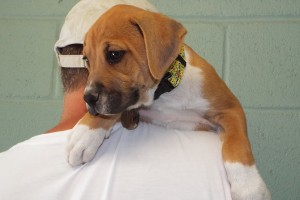 Picture of Ethel