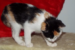 Picture of Helena