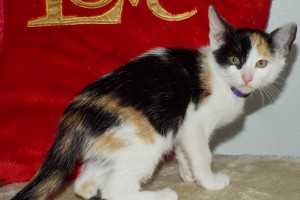 Picture of Helena