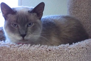 Picture of Isabella