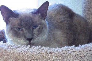 Picture of Isabella