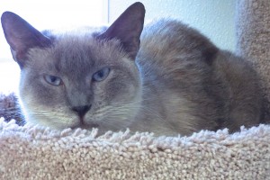 Picture of Isabella