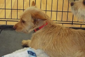 Picture of Jill