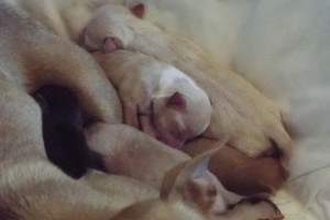 Picture of Katey