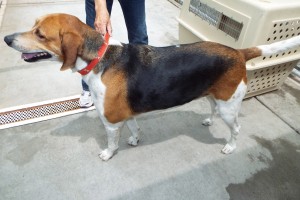 Picture of Mr. Duke