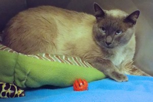 Picture of Sammy