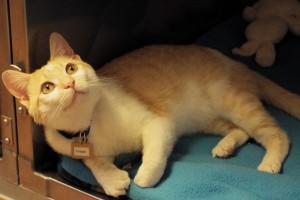 Picture of Tristan