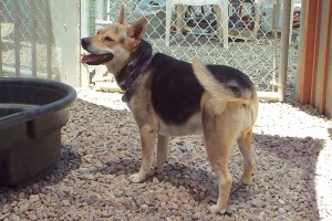 Picture of Cali Ann