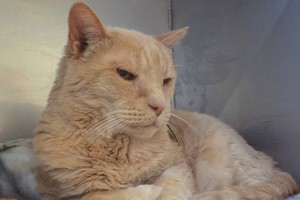 Picture of Dude