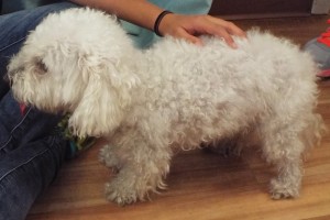 Picture of Sophie