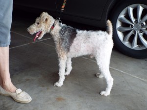 Picture of Ben