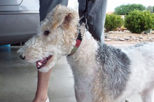 Picture of Ben