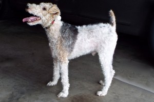 Picture of Ben