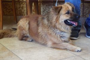 Picture of Jude