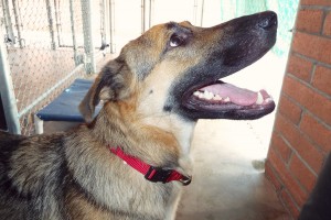 Picture of Kiara