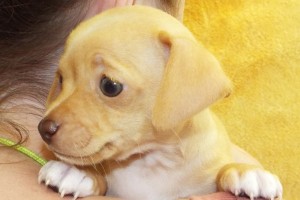 Picture of Kyley