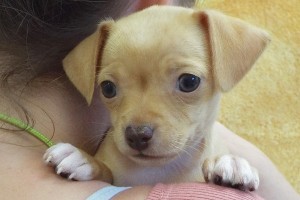 Picture of Kyley