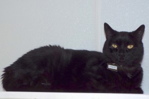 Picture of Little Bit