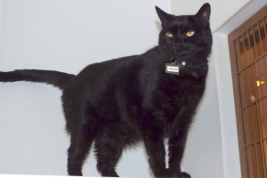 Picture of Little Bit